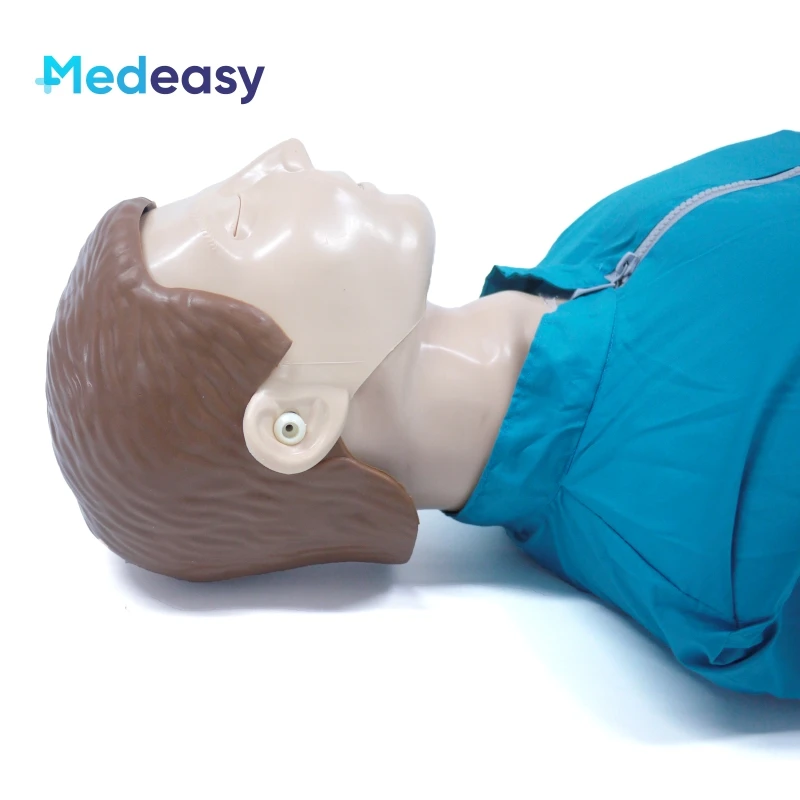 Half Body Cpr Training Manikin,Medical Cpr Dummy Simple Type Buy