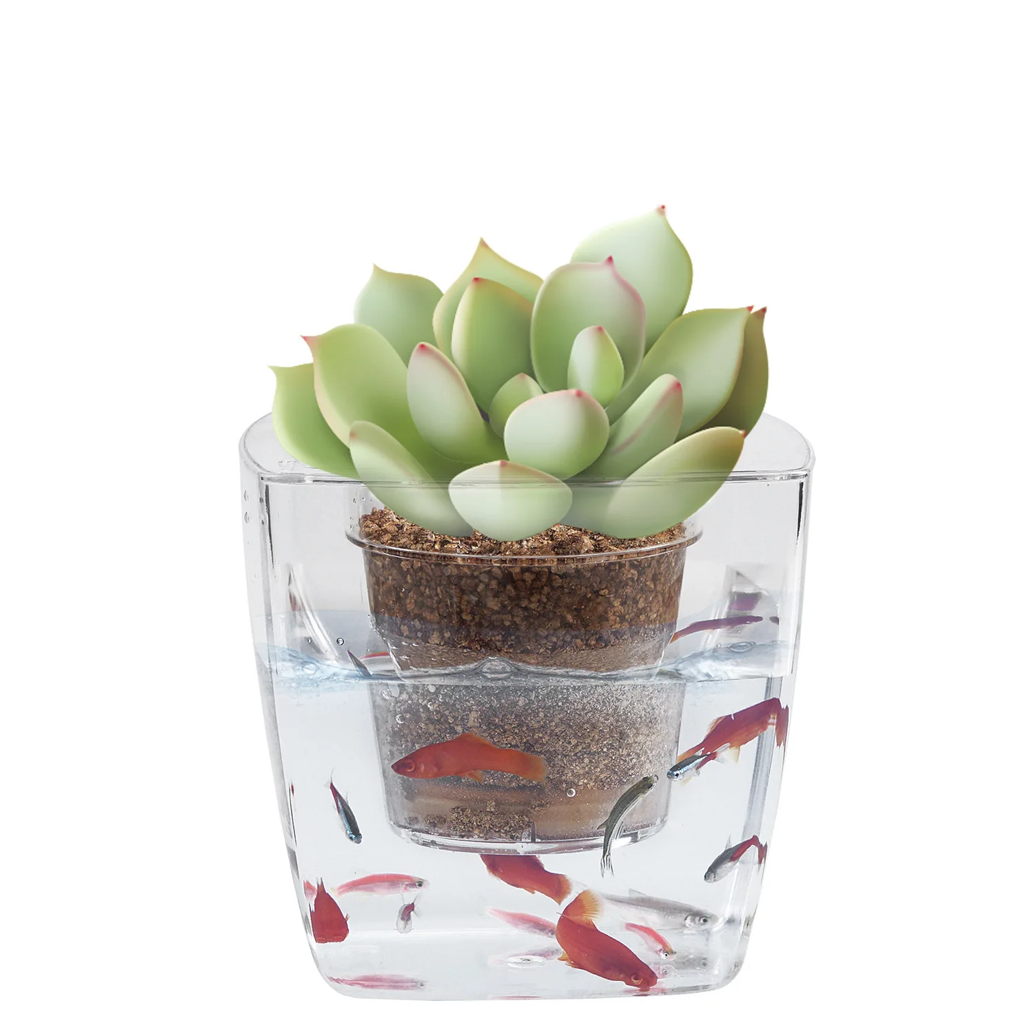 

New Multifunctional Fish Water Tank Flower Grow Plastic Pots for Home Office, Transparent