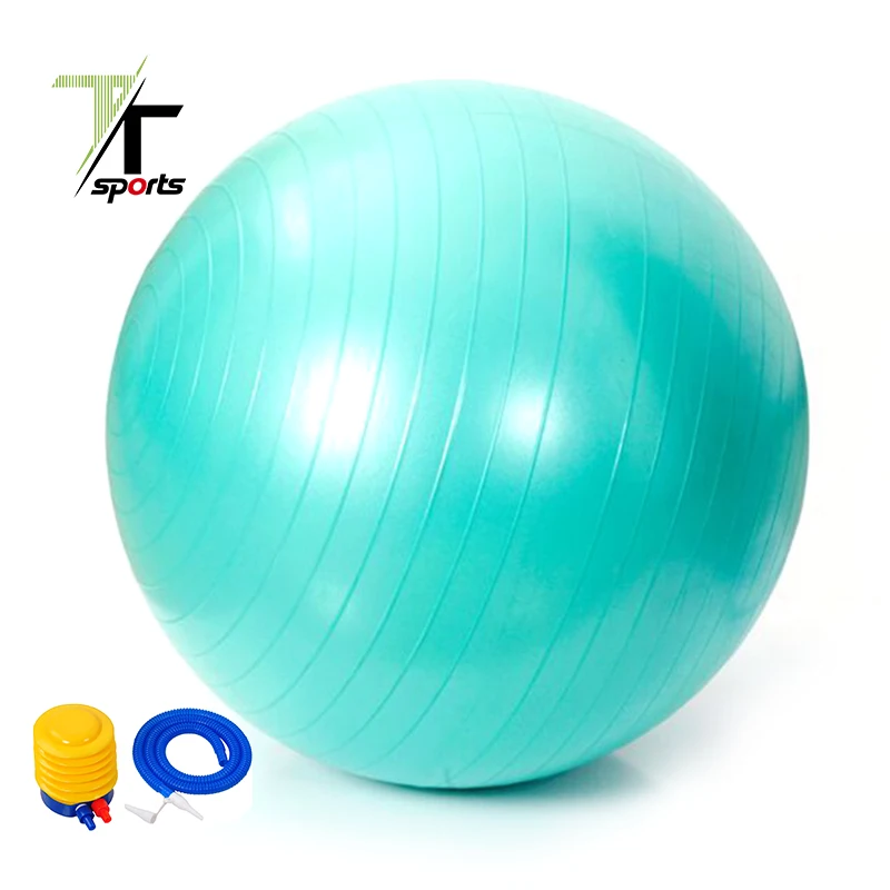 

TTSPORTS Wholesale Printing Custom Logo Manufacturer 65cm Gym Yoga Ball Exercise Ball With Pump, Multi colors