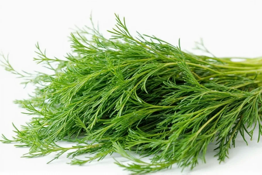 fresh dill herb a zesty secret to flavorful cooking you ll want in every dish