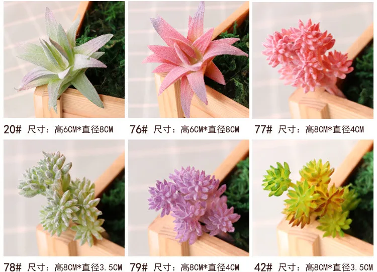 succulents (19).jpg