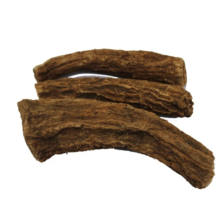 

Wholesale 100% pure natural Costus Root Oil in herbal extract