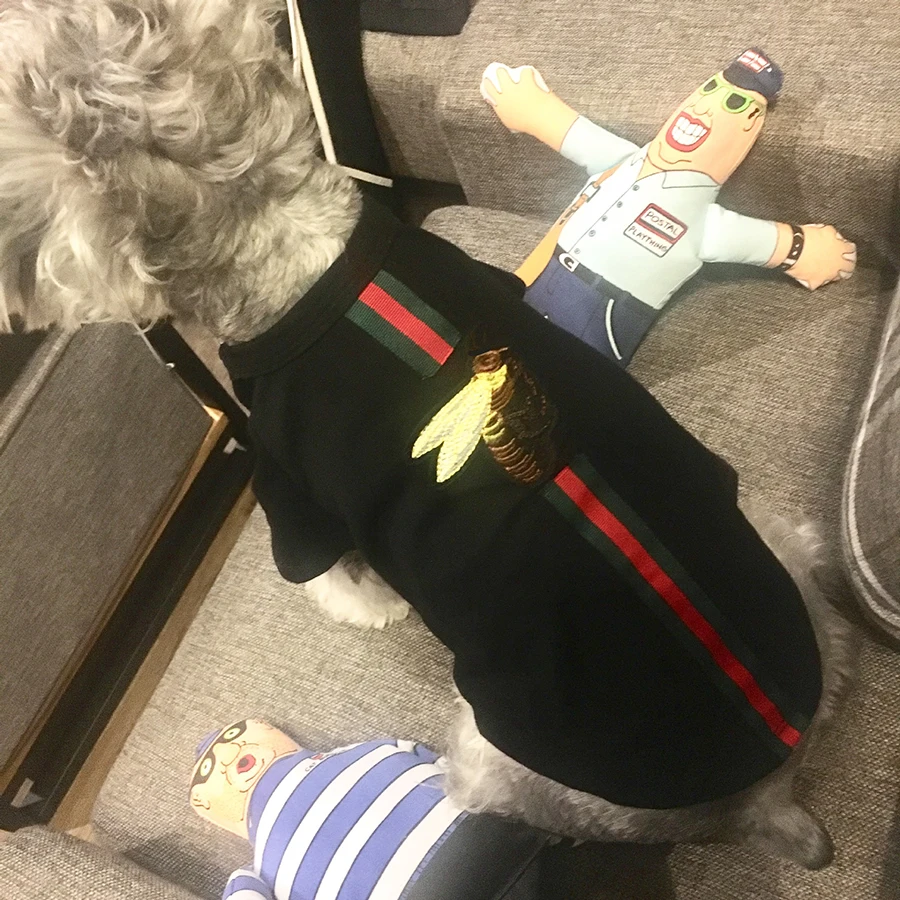 

Bee Type Pet Dog Sweater Fashion Dog Clothes High Quality Classical Designer Super Soft for Small Medium Dogs Puppy Outfit Coat, Pink,green