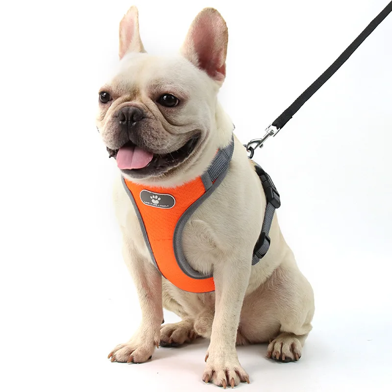 

2022 Hot sale factory direct sale pet dog backpack harness reflective pet harness and leash set, Orange/dark blue/light blue