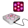 /product-detail/bloombeast-hydroponic-plant-lamp-full-spectrum-500w-led-grow-light-for-indoor-plants-62432664630.html