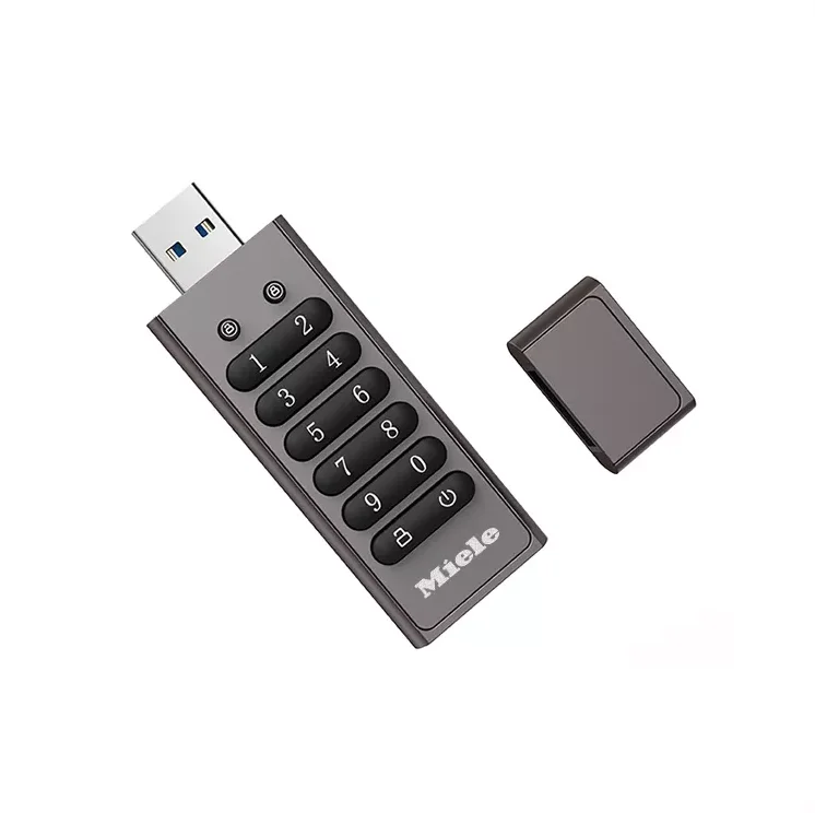 

Password Protection USB Flash Drive Password Lock USB Disk Pen Drive Encrypted USB Flash Drive