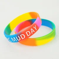 

High quality Custom Rainbow Segmented Silicone Rubber Bracelet silicone wristband bracelet