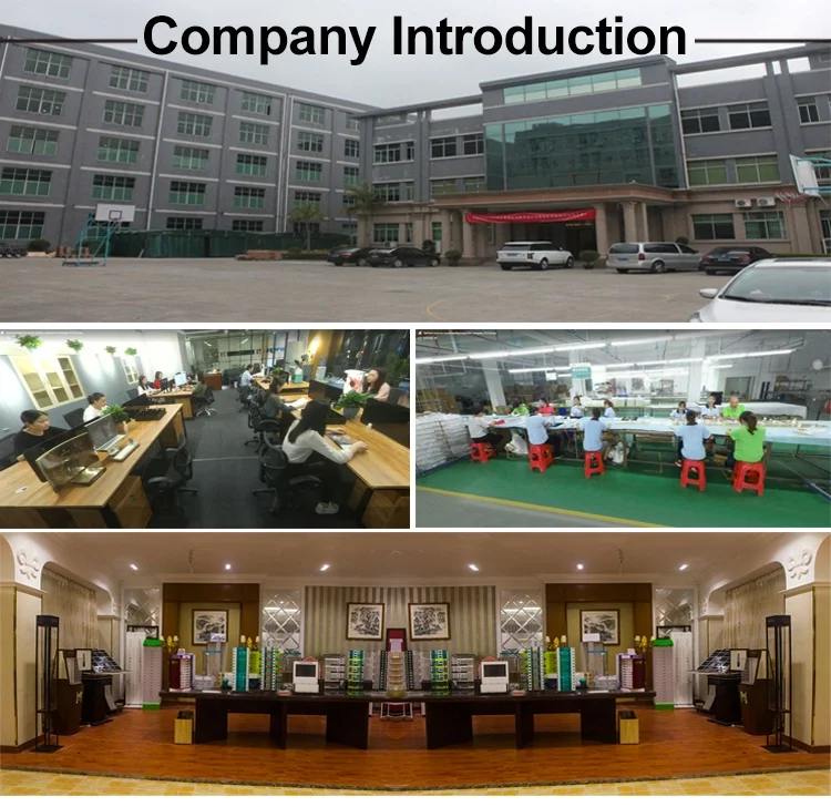 company information.png