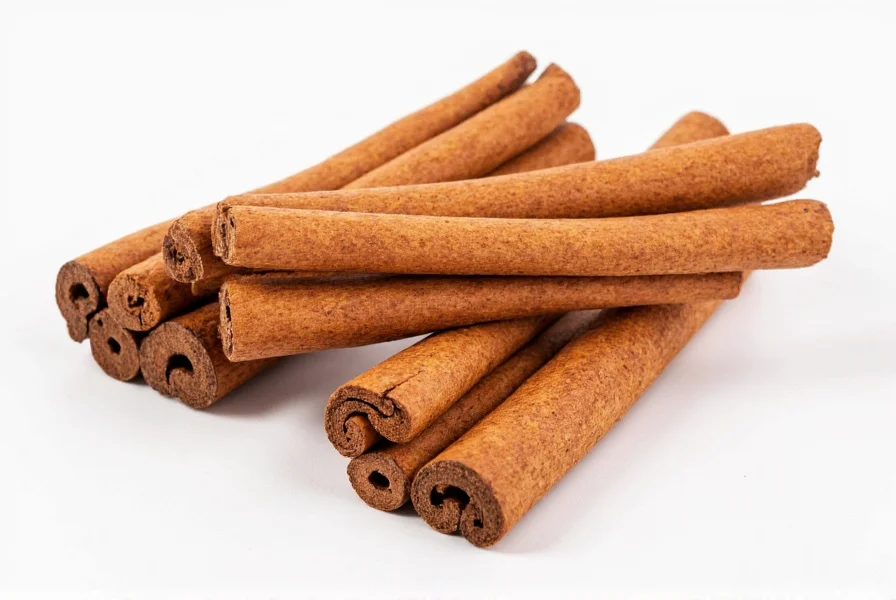 Close-up comparison of Ceylon cinnamon quills versus Cassia cinnamon sticks showing the delicate layered structure of Ceylon versus the thick single-layer Cassia