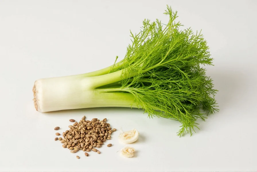 celery and anise seed arranged as fennel bulb substitute in cooking