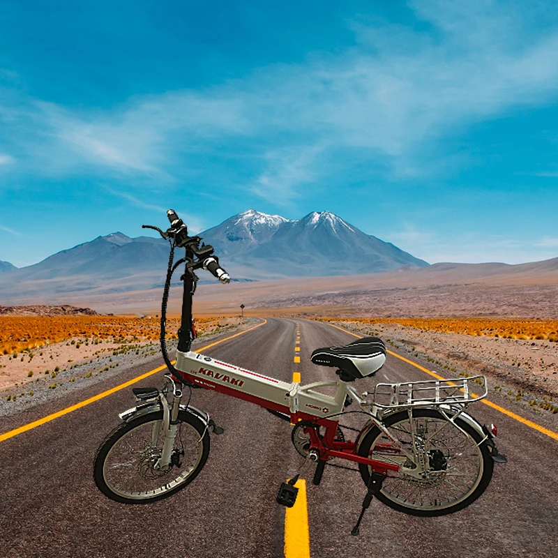 

sur ron 2021 mid drive electric Mountain E bike/ bike/electric bicycle with CE
