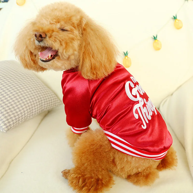Fashionable Sports Dog Clothing Brand With Dog Logo Dog Cotton Clothes
