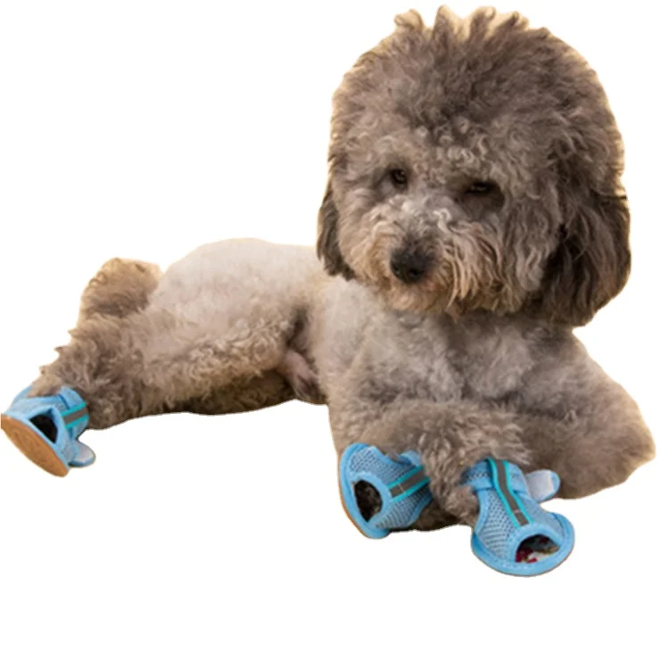

Pet supplies casual shoes mesh breathable tendon sole mesh soft sandal for dogs dog summer hiking walking shoes