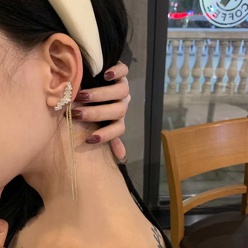 

Trendy Long Tassel Earrings S925 Silver Vintage Dangling Designer Bling Earrings For Gril Women