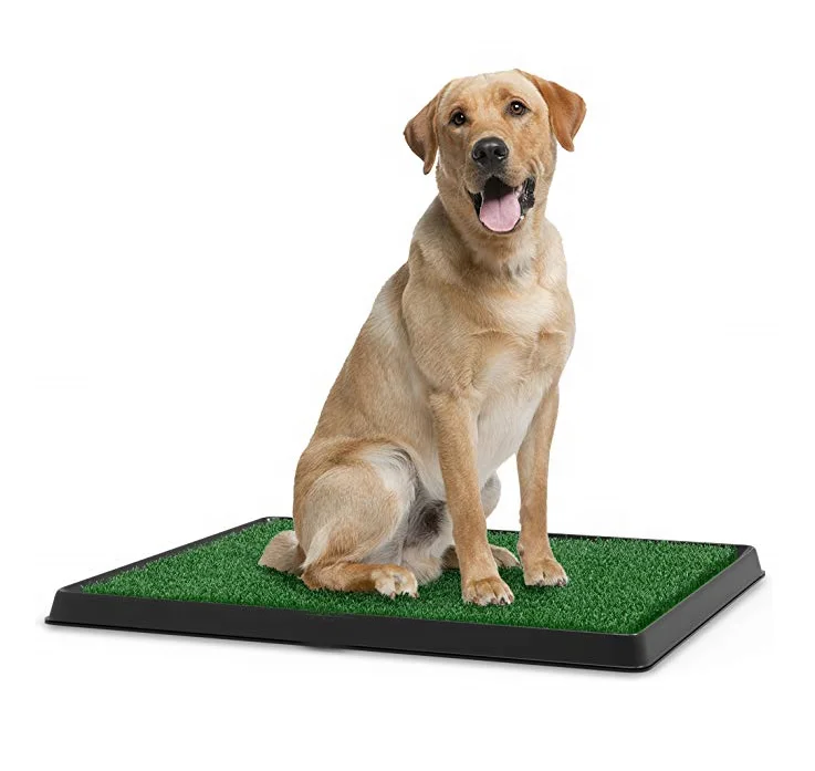 

As seen on TV Factory Puppy Potty Mat Absorbent Indoor luxury 20*25'' dog pee mat pet dog Training Toilet, Green/ as pics