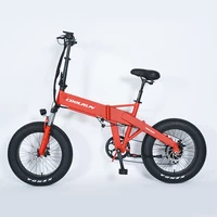 

20 * 4.0 inch Fat tires Aluminum alloy 6061 Frame 48V 250W 500W 750W suspension Folding Electric Bicycle