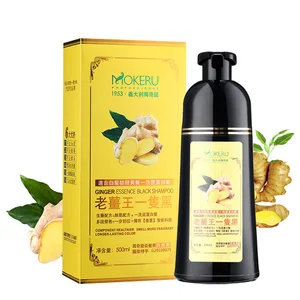 Most professional hair color change dye shampoo to cover white or any other colors hair 2