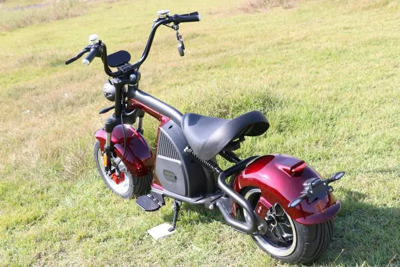 

We 1250Cc Electric Golf Scooter Fat Tire