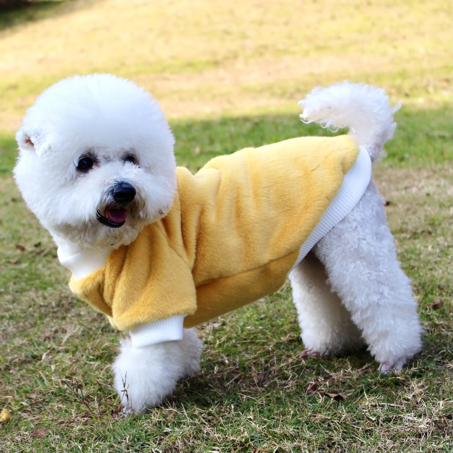 

2022 Small and Medium-sized Dogs in Spring and Summer Thin Clothes for Pet Outdoor Plus Fleece Mink Fur Dog Coat Dog Clothes, According to the picture
