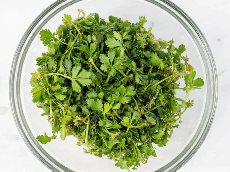 Best Substitutes for Dried Parsley: 7 Practical Alternatives