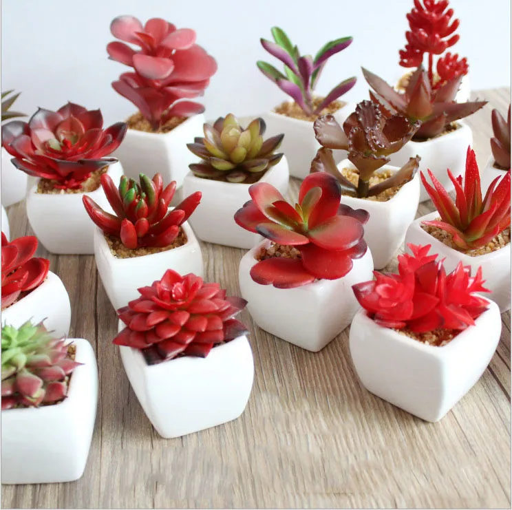 

Flowers Artificial Home Suculentas Natural Faux Plants Supplier Ornamental Handmade Succulent Pots Artificial Succulent Plants, Customizable