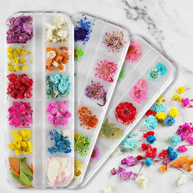 

Mixed styles organic natural pressed dried flowers nail art decoration dried flowers for nails