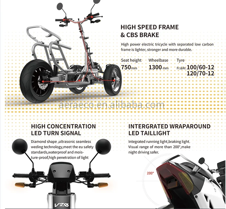 Sway Tilting Electric Trike