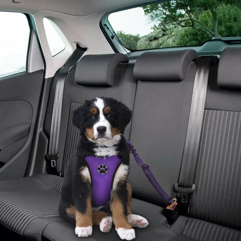 

Ready to Ship Dog Car Harness 2 Pack Adjustable Pet Car Seat Belt Elastic Bungee Buffer Nylon Safety Belt