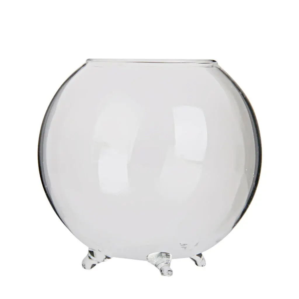 

OEM Hand Blown Round Standing Glass Ball Vase for Hydroponic Plants Home Garden Table Decoration, Customized