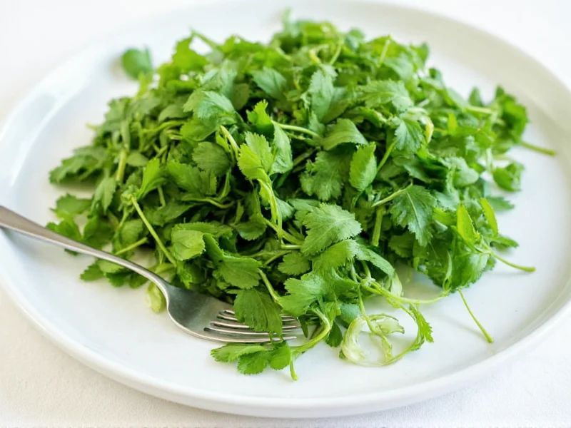 Oregano and Basil: Differences, Uses & Perfect Pairings