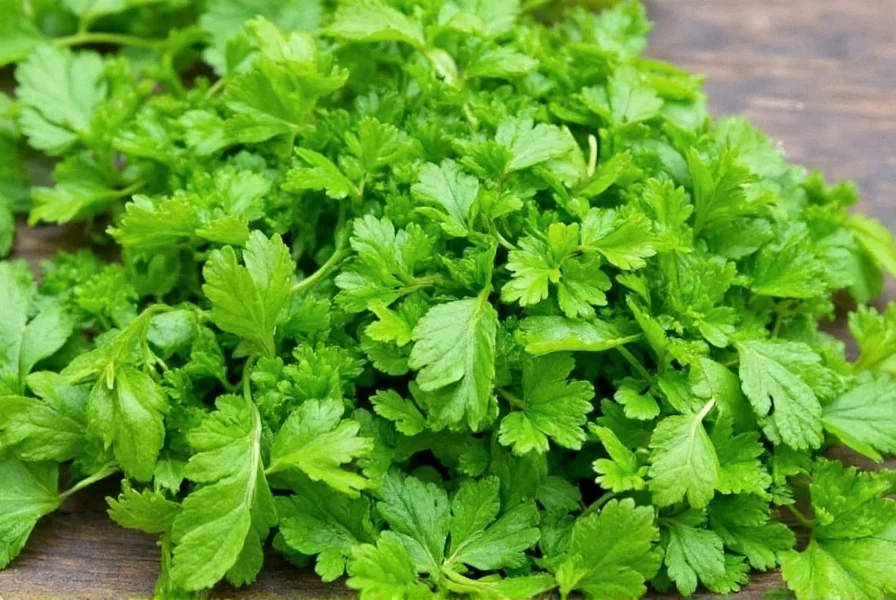 Store Bought Parsley and Cilantro Bunches