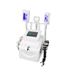 360 Double Chin Therapy 3D Cryolipolysis Slimming Machine for Body Shape