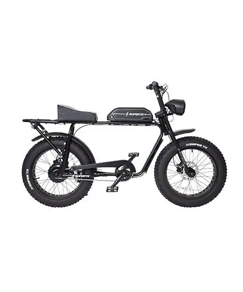 

Electric Retro Bicycle Double Long Seat Electric Bicycle 48V 350W 20 inches