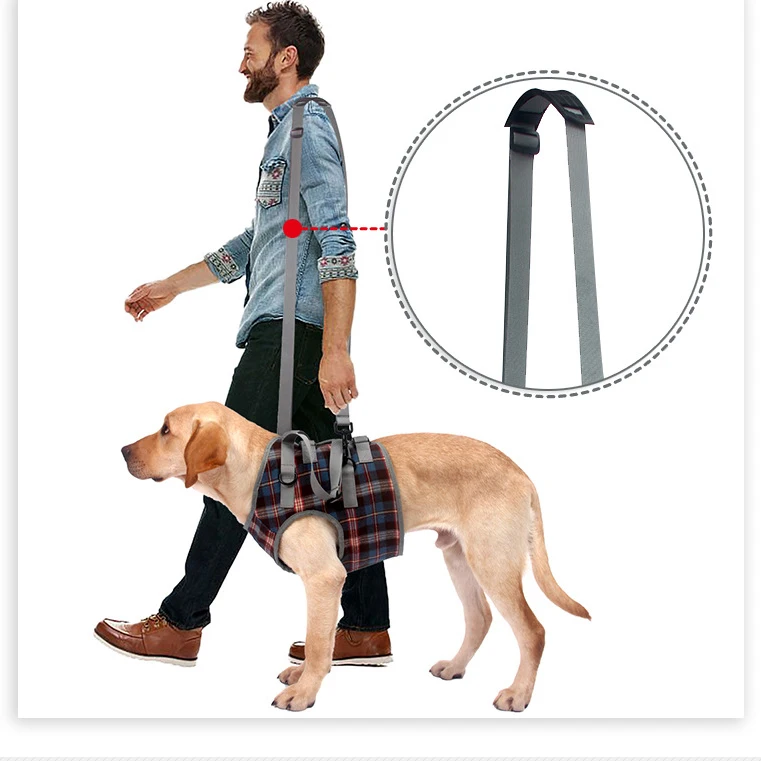 

Factory Wholesale Pet Leg Harness Walking Support Leg Guard Hind Disability Injury Elderly Dog leg auxiliary belt