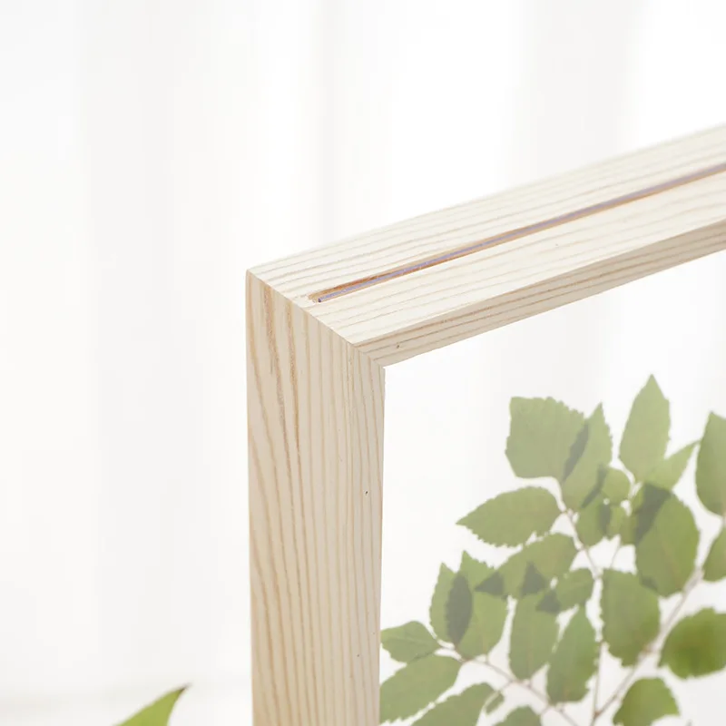 8" Wholesale Creative Twosided Glass Herbarium Specimen Frame Dried