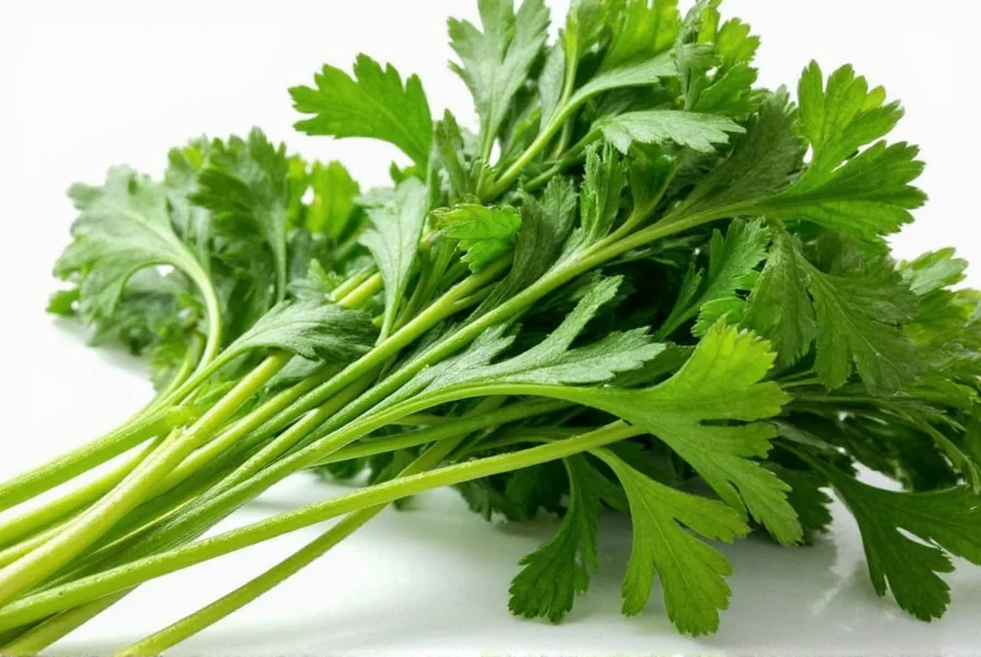 parsley power how to convert fresh to dried like a pro