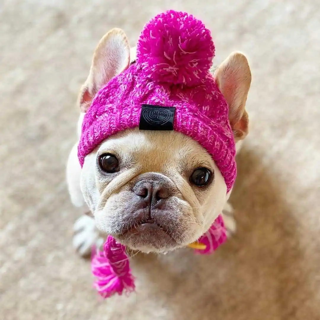 

Hot Selling Pet Acrylic Yarns Knit Hat Cute Warm Cozy Beanie For Dogs And Cats Funny Pet Apparel Accessories Pet Winter Clothing