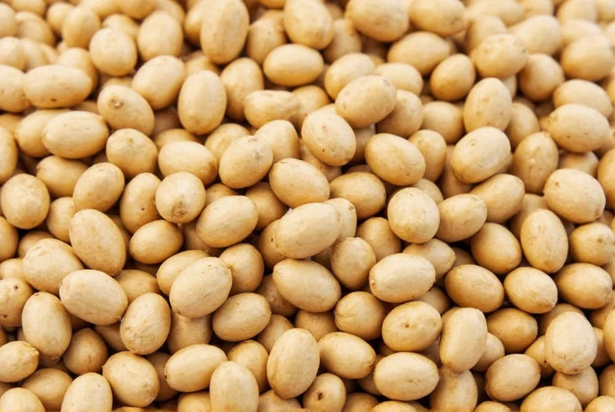 Close-up of fenugreek seeds showing their amber color and rectangular shape on a wooden table