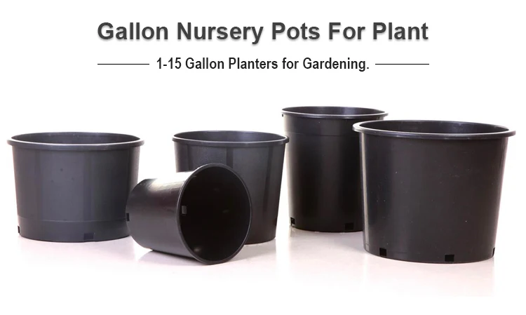 gallon pots1