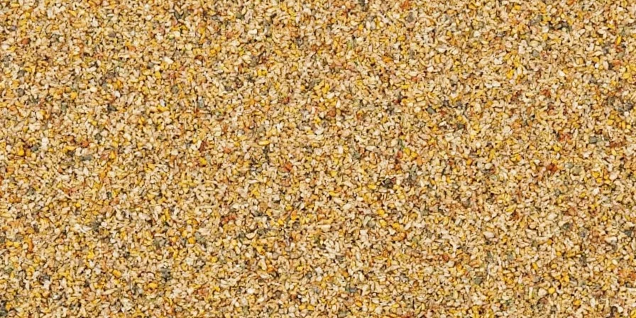 coriander seeds the flavor chameleon of the spice rack a practical guide