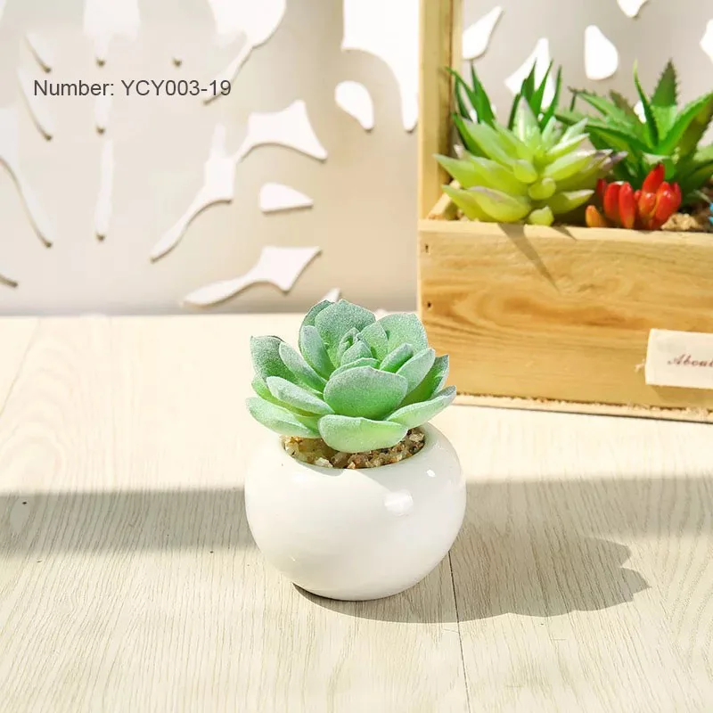 

Realistic Ceramic Plantes Succulentes Succulent Plant Naturel House Artificial Vase For Plants Outdoor And Indoor decor, Customizable