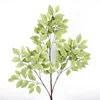/product-detail/flame-retardant-artificial-banyan-tree-branches-and-leaves-ornamental-foliage-ficus-leaves-62261068923.html