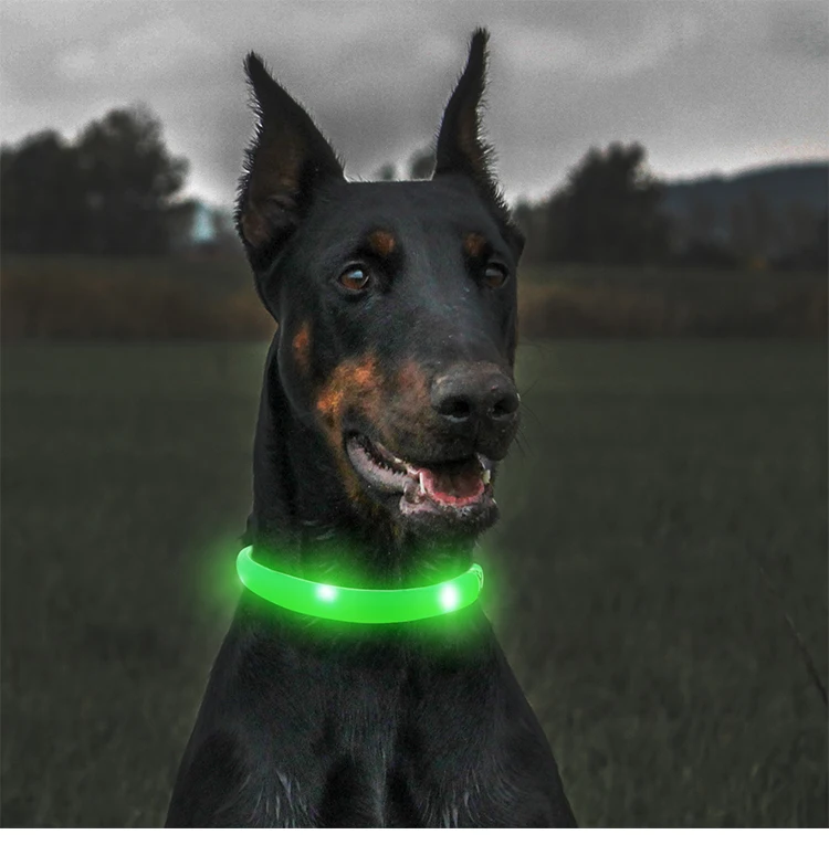 Hot Sale Safety USB Rechargeable LED Dog Collar
