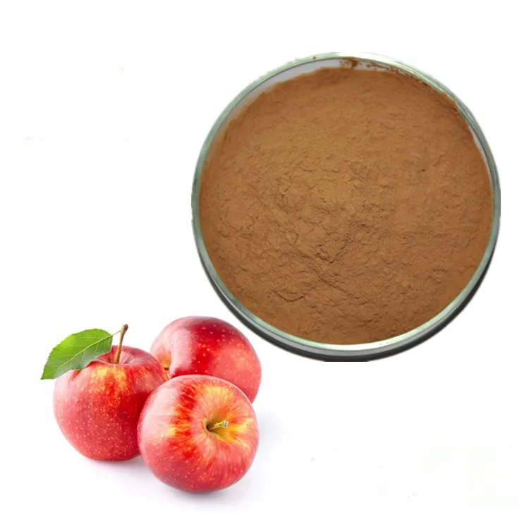 Apple Extract Powder Polyphenol 50 70 75 80 Phlorizin 40 80 90