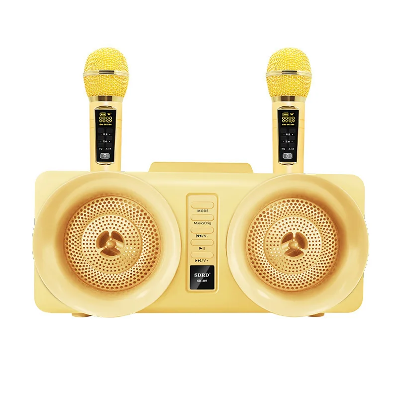 

SD307 karaoke speaker dual wireless microphone TV karaoke