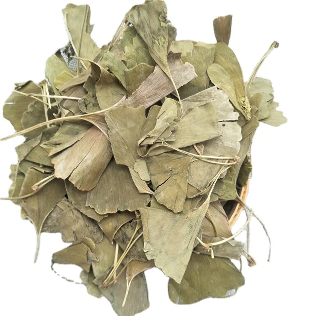 

Yin xing ye Bulk natural herbs Ginkgo biloba leaf dried gingko leaves