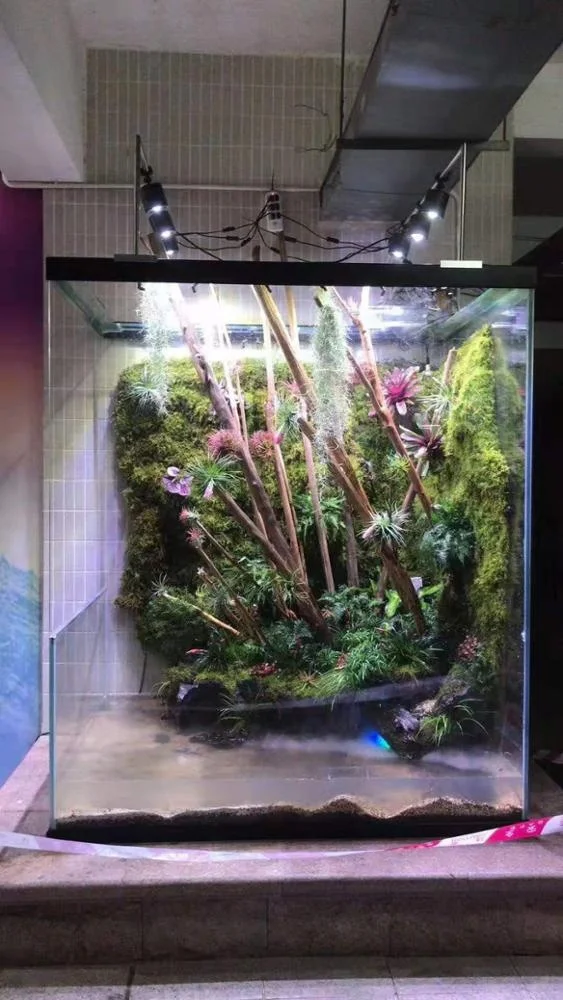 200CM depth tank, 25W water plant lights.jpg