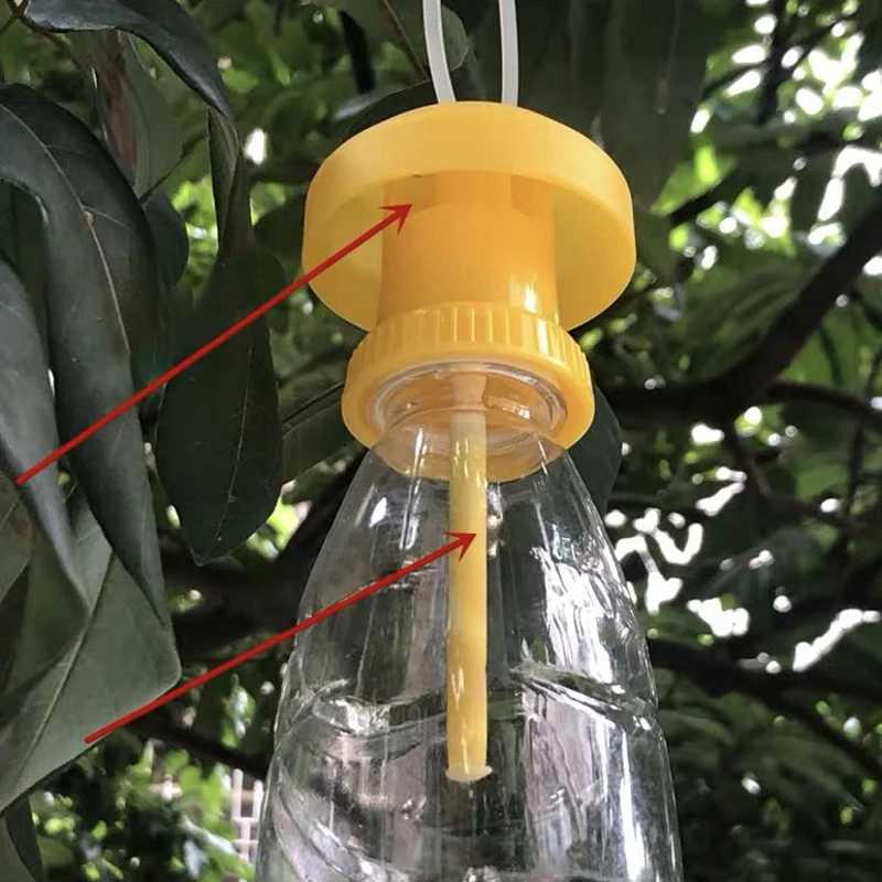 

Fruit Fly Trap Killer Plastic Yellow Drosophila Trap Fly Catcher Pest Insect Control for Home Farm Orchard Garden Supplies