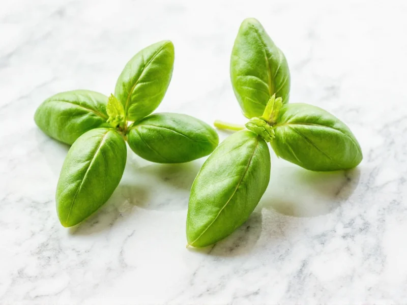 Fresh Basil to Dried Basil Conversion Ratio Explained