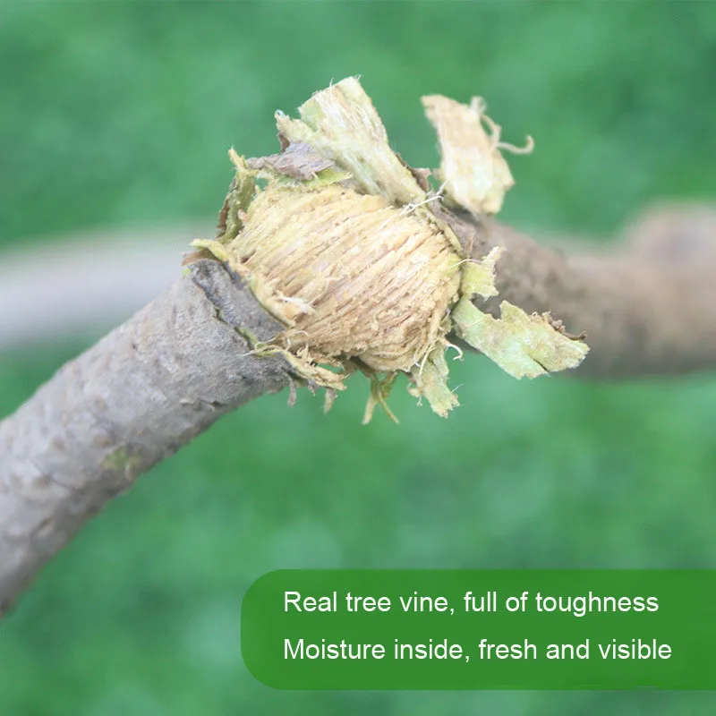 Natural Artificial Dry Tree Branches Without Leaves Indoor Withered Dry